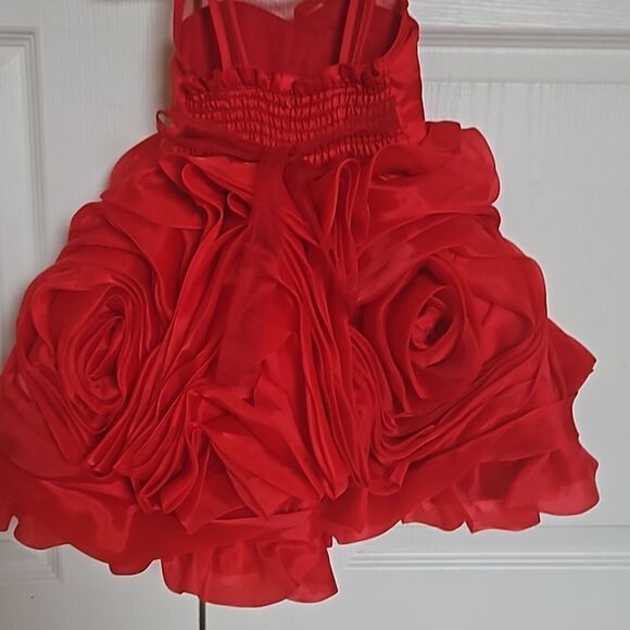 Toddler Girl's Custom-Made Rose Petals Chiffon Dress With Petticoat Red 12-Month - Picture 4 of 16